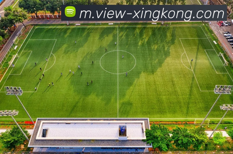 星空体育APP 封面图